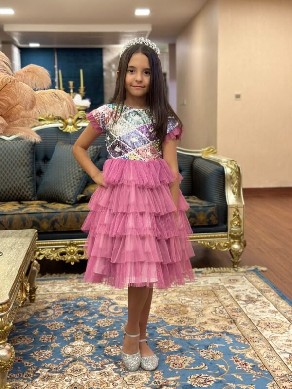 Layer Party Dress Pink With Tulle For Girls Lamora