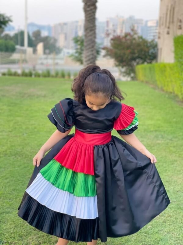 Multicolor Side Pleating Emirates National Day Flag Dress Black Lamora