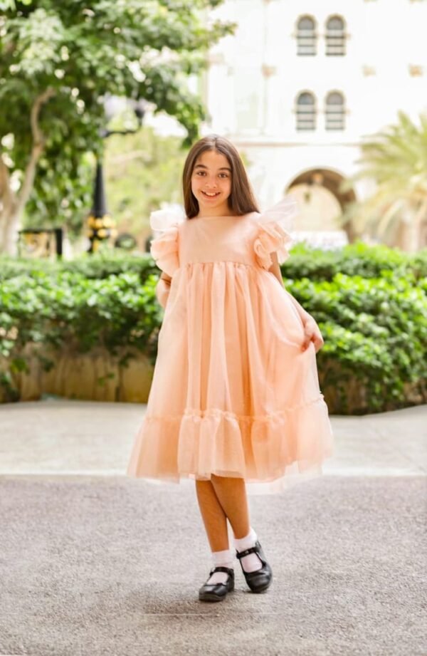 Party Dress For Girls Pink With Shining Tulle Lamora