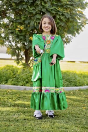 Traditional Dress Green Floral Lamora