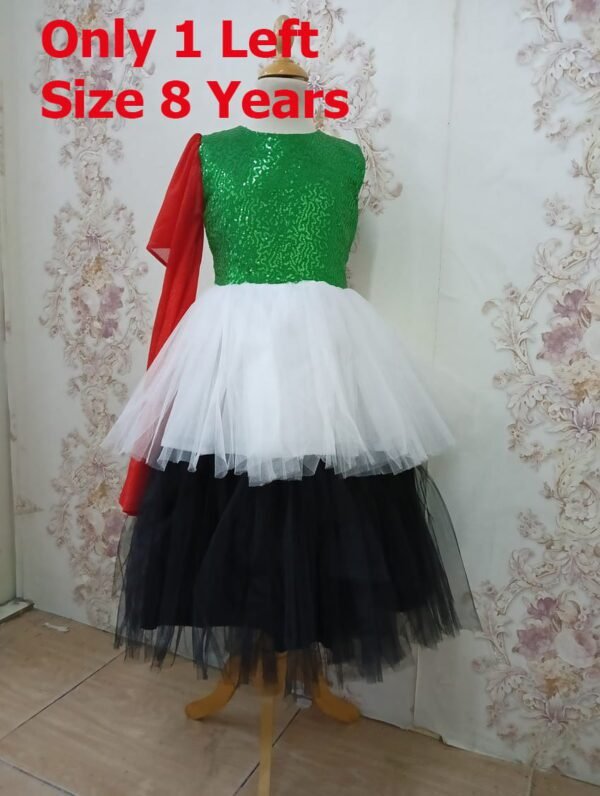 UAE National Day Flag Dress For Girls Green With Emirates Tulle Lamora