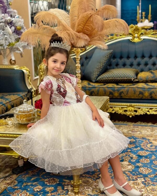 Girls Party Dress Layered With Tulle Multicolor Lamora Clothing Brand (3)