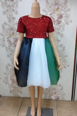 UAE National Day Fancy Frock For Girls