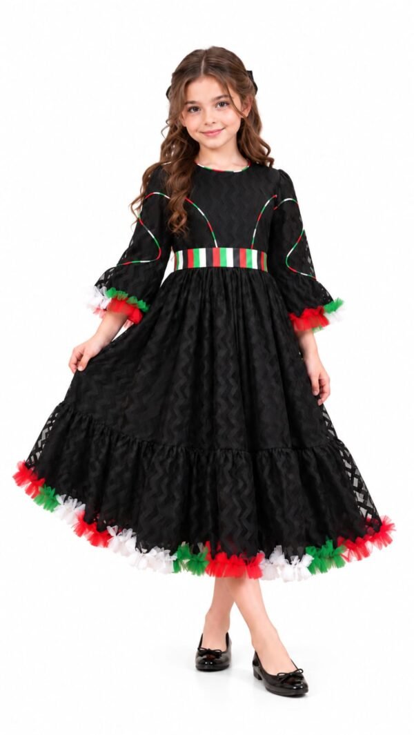 Black Cutwork Tulle Dress with Flag Trim
